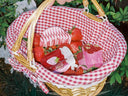 Frasier Farms