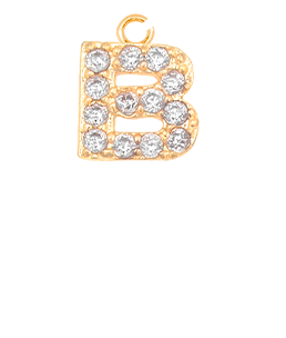 B Charm